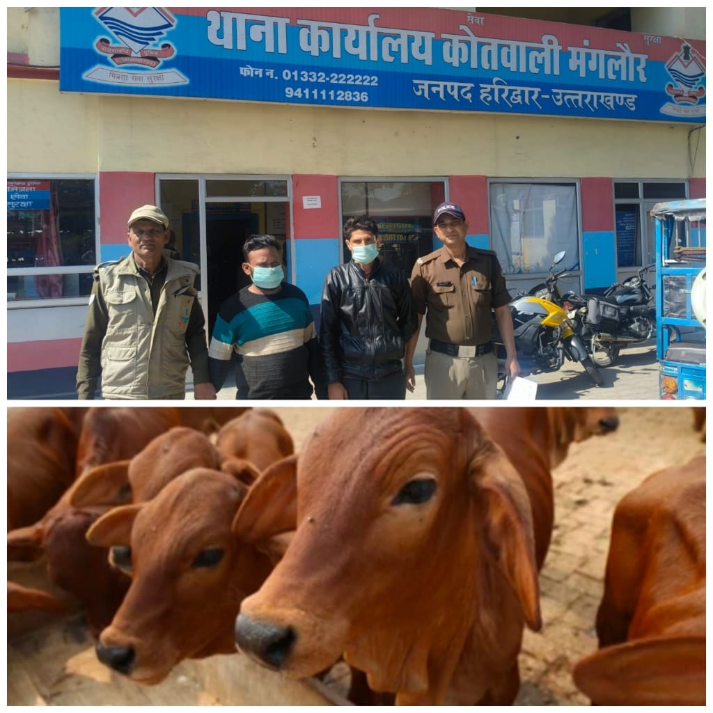 मंगलौर पुलिस ने पीरपुरा के जंगल से गोकशी करते हुए 02 अभियुक्तों किए गिरफ्तार,03 मौके से फरार,फरार अभियुक्तों की तलाश जारी